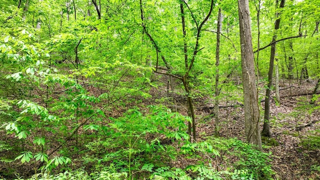 74 Backwoods Loop, Counce, TN 38326