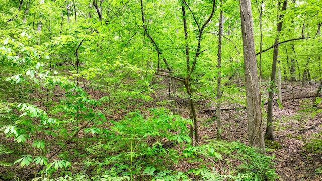 74 Backwoods Loop, Counce, TN 38326