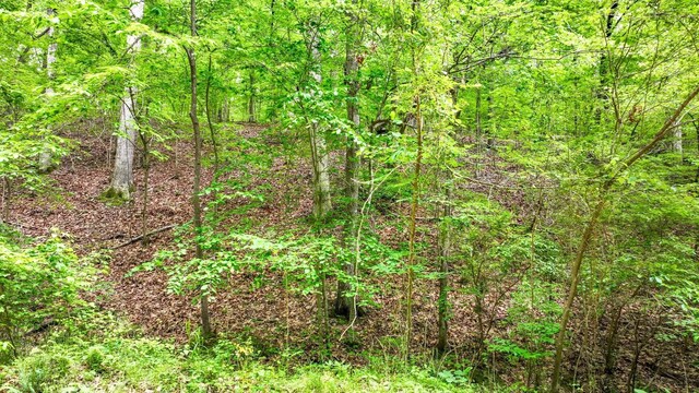 74 Backwoods Loop, Counce, TN 38326