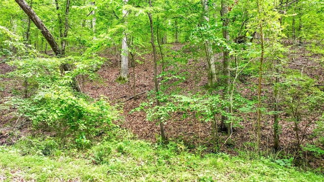 74 Backwoods Loop, Counce, TN 38326