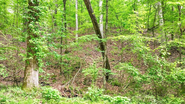 74 Backwoods Loop, Counce, TN 38326