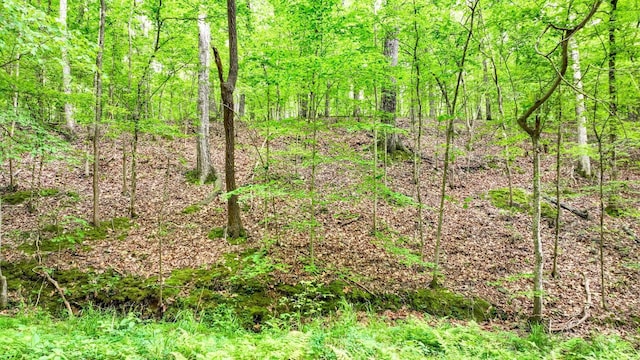 74 Backwoods Loop, Counce, TN 38326