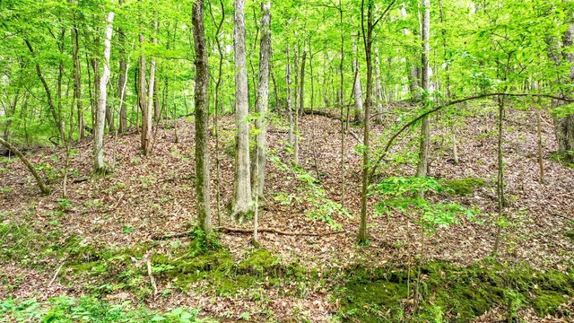 74 Backwoods Loop, Counce, TN 38326