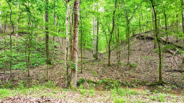 74 Backwoods Loop, Counce, TN 38326