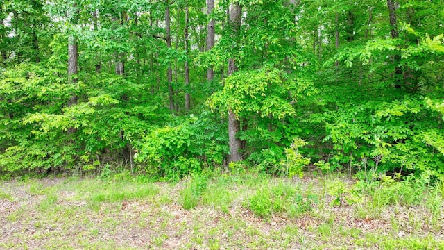 74 Backwoods Loop, Counce, TN 38326