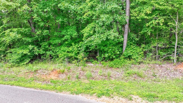 74 Backwoods Loop, Counce, TN 38326