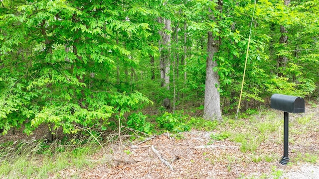 74 Backwoods Loop, Counce, TN 38326