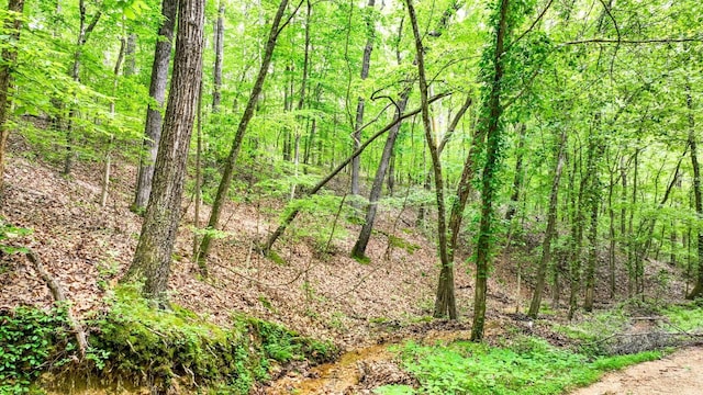 74 Backwoods Loop, Counce, TN 38326