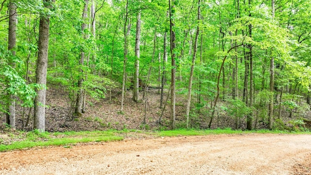 74 Backwoods Loop, Counce, TN 38326