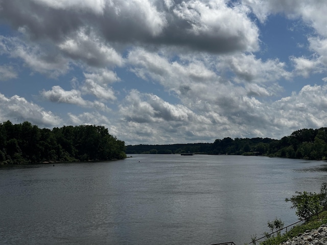 552 Catfish Ln, Crump, TN 38327 - water view featuring a forest