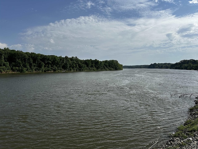 552 Catfish Ln, Crump, TN 38327 - water view featuring a heavily wooded area