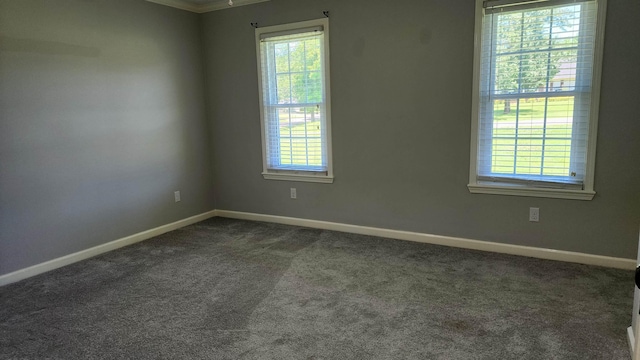445 Caldwell Rd, Ripley, TN 38063 - empty room with healthy amount of natural light, dark carpet, baseboards, and ornamental molding