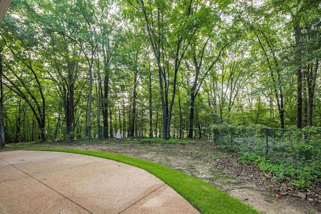 95 Hancock Cv, Eads, TN 38028 - view of yard featuring a wooded view