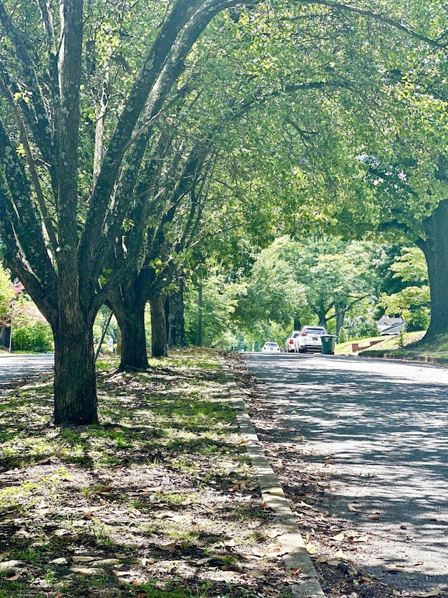 18 N Reese St, Memphis, TN 38111 - view of street