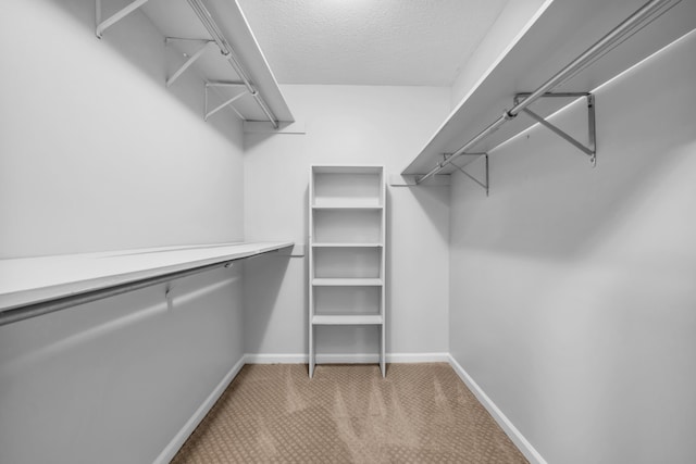2349 Riverdale Rd, Germantown, TN 38138 - spacious closet with carpet flooring