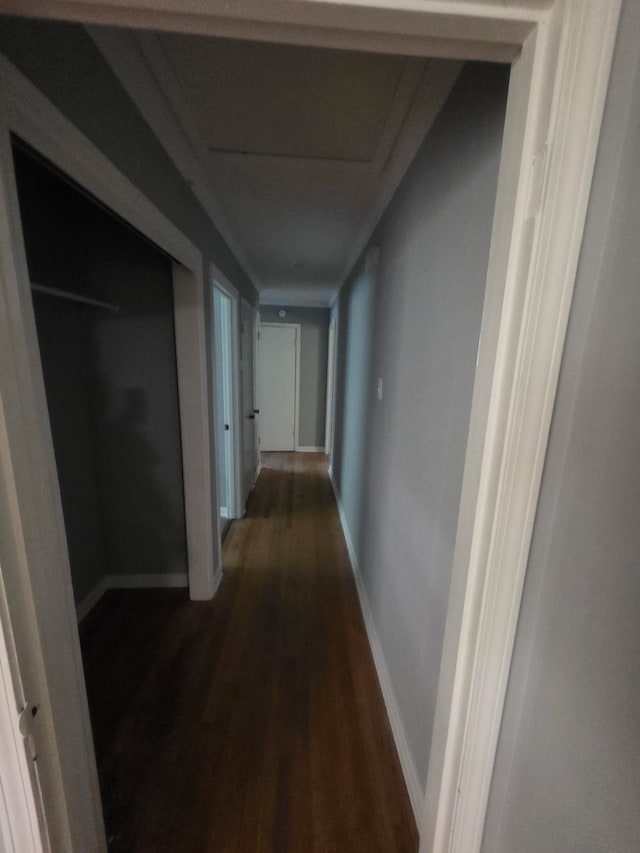 3989 Martindale Ave, Memphis, TN 38128 - hallway with dark wood-type flooring and baseboards