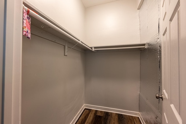 2046 Courtland Pl, Memphis, TN 38104 - walk in closet with dark wood-style floors