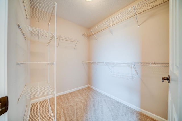 130 Pinehurst Dr, Oakland, TN 38060 - spacious closet featuring carpet floors