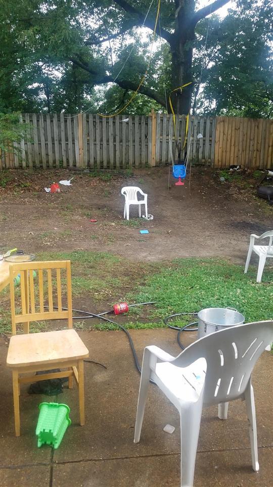 5647 Maple Tree Dr, Memphis, TN 38115 - view of yard