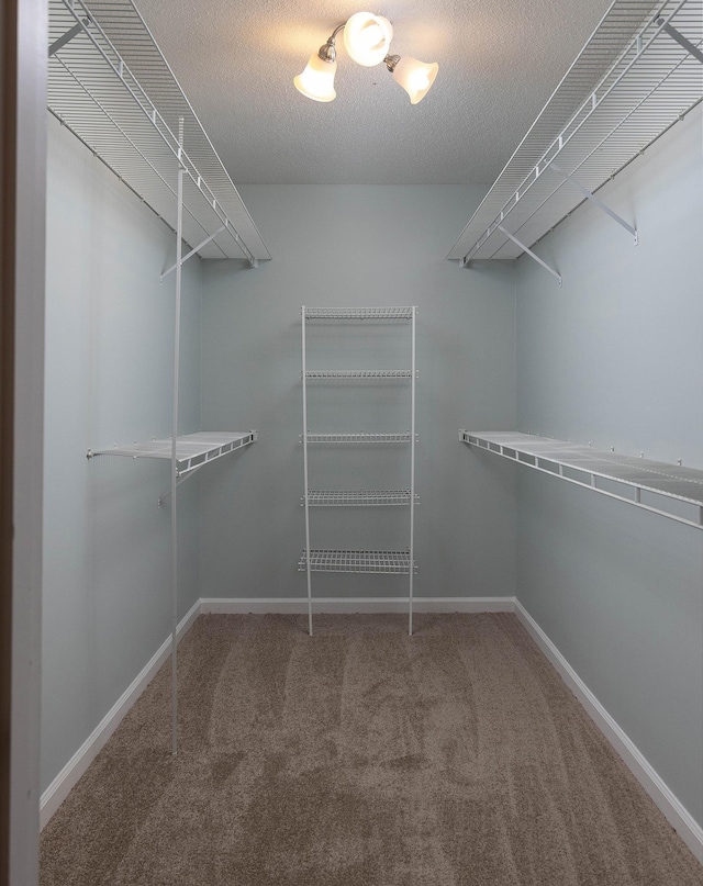 8432 Wood Shadows Ln, Memphis, TN 38018 - spacious closet featuring carpet
