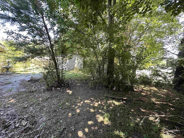 4378 Donnegan Cv, Memphis, TN 38125 - view of nature