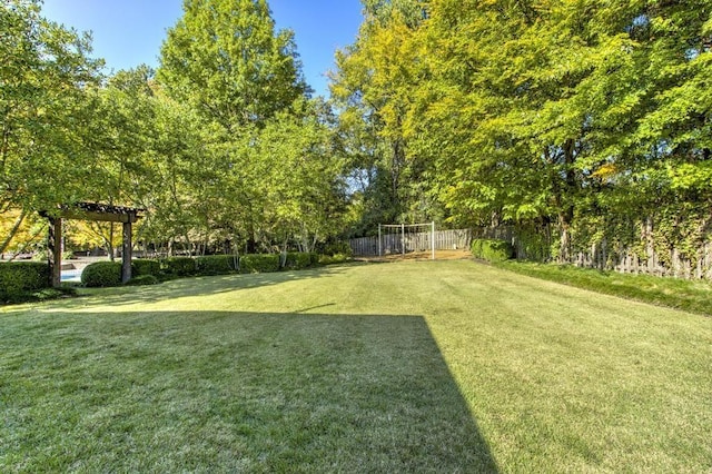 9200 Forest Hill Ln, Germantown, TN 38139 - view of yard