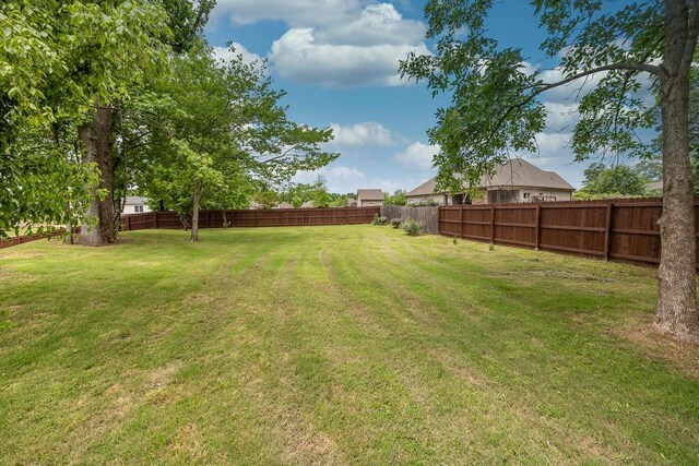 128 Loch Haven Cv S, Atoka, TN 38004 - view of yard