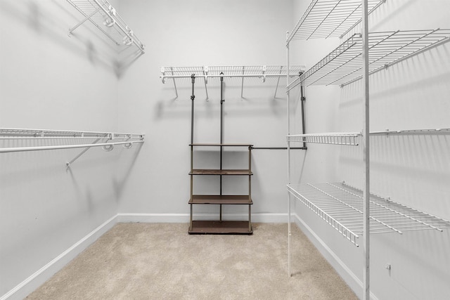 8917 River Sound Dr, Cordova, TN 38016 - walk in closet with carpet flooring