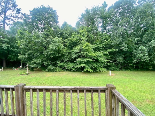 29 Frank Fwy, Iuka, MS 38852 - view of green lawn