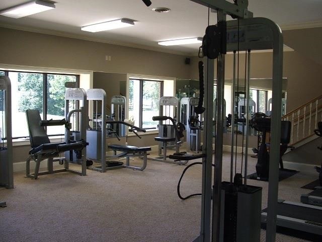 29 Frank Fwy, Iuka, MS 38852 - gym with healthy amount of natural light, carpet flooring, and ornamental molding