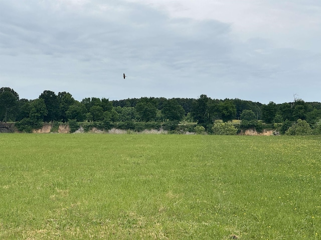 LOT29 Declan Ln, Savannah, TN 38372