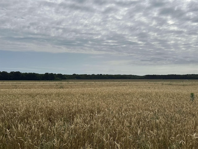 LOT29 Declan Ln, Savannah, TN 38372