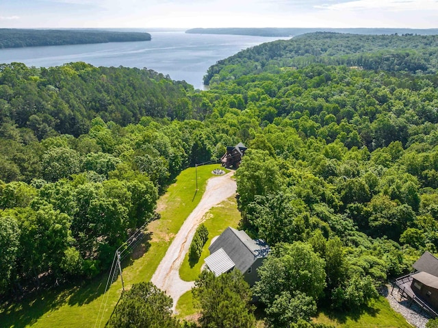 8 Shady Oak Cv, Iuka, MS 38852 - bird's eye view of a heavily wooded area and a large body of water