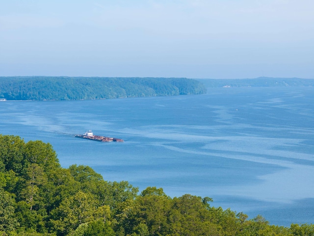 8 Shady Oak Cv, Iuka, MS 38852 - water view with a heavily wooded area