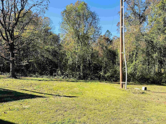 1145 Cypress Tank Rd, Pocahontas, TN 38061 - view of green lawn