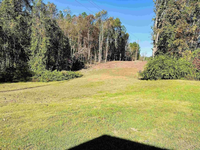 1145 Cypress Tank Rd, Pocahontas, TN 38061 - view of grassy yard