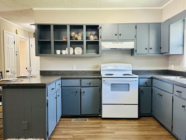 159 Hillhurst Dr, Selmer, TN 38375 - kitchen featuring white electric range oven, under cabinet range hood, a textured ceiling, dark countertops, and crown molding