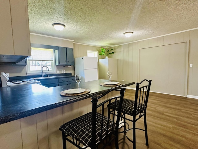 159 Hillhurst Dr, Selmer, TN 38375 - kitchen featuring freestanding refrigerator, a sink, dark countertops, crown molding, and dark wood-type flooring