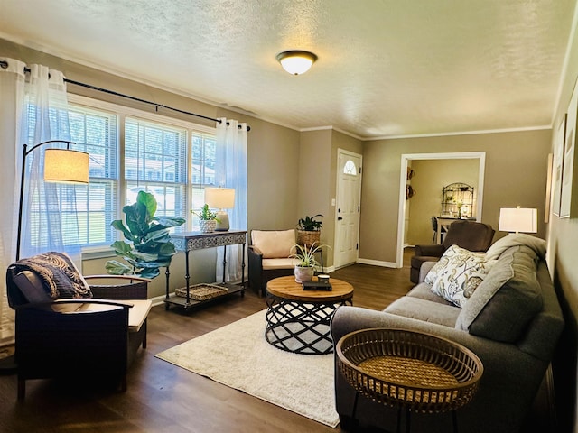 159 Hillhurst Dr, Selmer, TN 38375 - living room with dark wood finished floors, baseboards, crown molding, and a textured ceiling