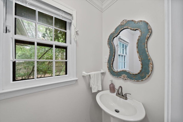 1772 Old Mill Rd, Germantown, TN 38138 - bathroom featuring a sink and crown molding