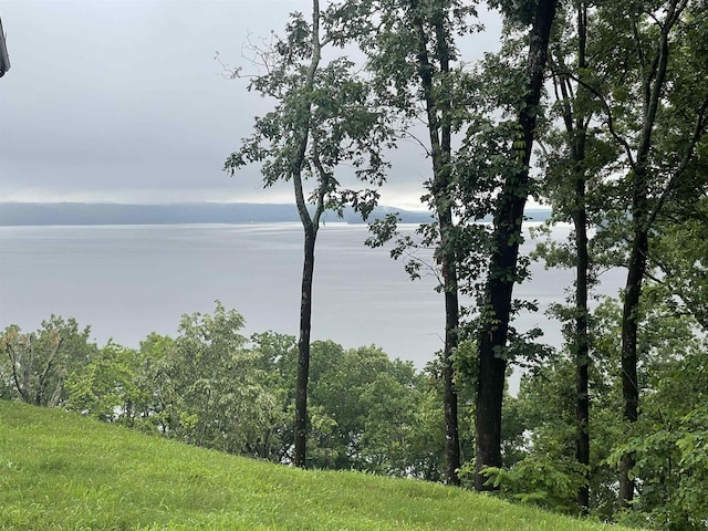 90 Endless View Rdg, Savannah, TN 38372 - water view