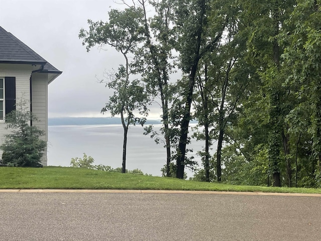 90 Endless View Rdg, Savannah, TN 38372 - water view