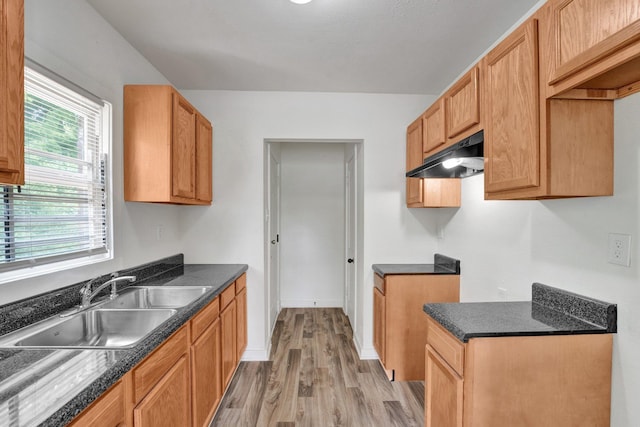 1394 Chadwick Cir, Memphis, TN 38114 - kitchen with under cabinet range hood, light wood-style flooring, a sink, dark countertops, and baseboards