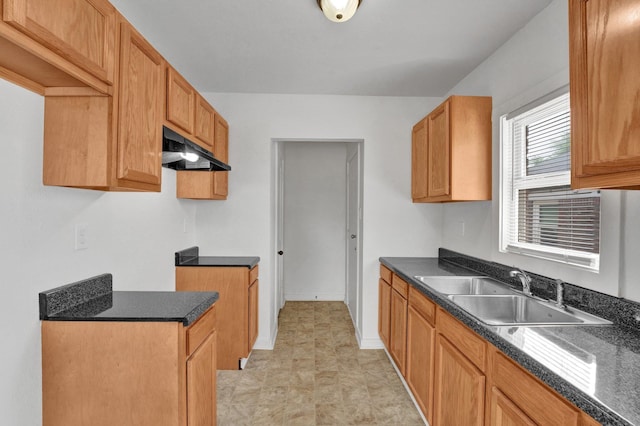 1394 Chadwick Cir, Memphis, TN 38114 - kitchen with a sink, under cabinet range hood, and baseboards