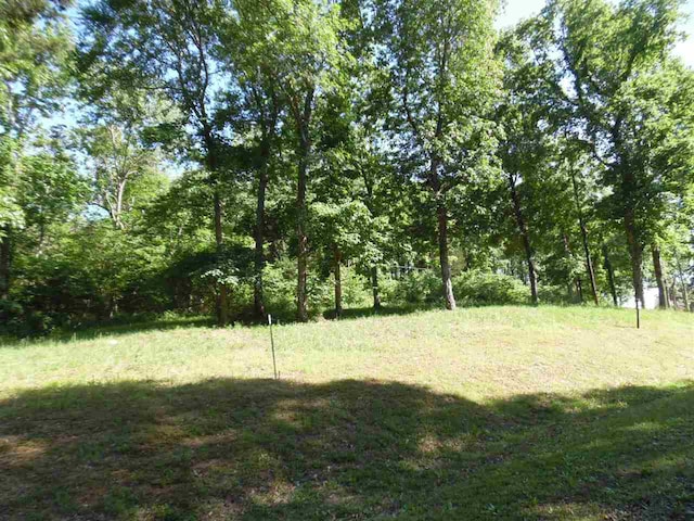 0 Adam Loop, Bath Springs, TN 38311