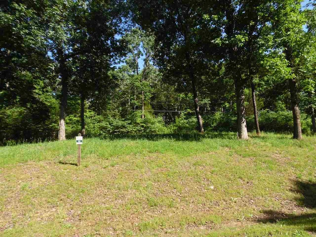 0 Adam Loop, Bath Springs, TN 38311