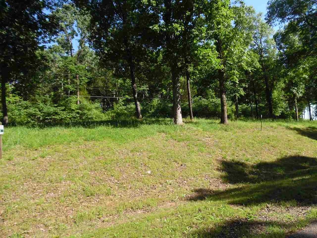 0 Adam Loop, Bath Springs, TN 38311