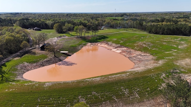0 Tyson Rd, Toone, TN 38381 - bird's eye view of a heavily wooded area and a nearby body of water