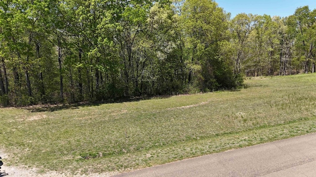 0 Ebenezer Rd, Toone, TN 38381