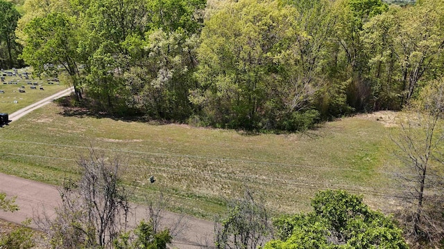 0 Ebenezer Rd, Toone, TN 38381